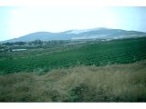 Mt Moreh - taken from very near En Harod, under Mt Gilboa